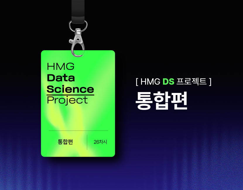 [HMG DS 프로젝트] 통합 패키지
